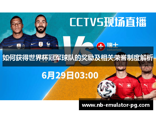 如何获得世界杯冠军球队的奖励及相关荣誉制度解析