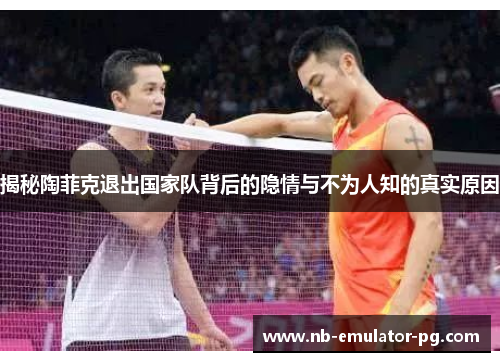 揭秘陶菲克退出国家队背后的隐情与不为人知的真实原因