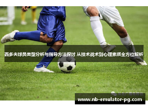 西多夫球员类型分析与指导方法探讨 从技术战术到心理素质全方位解析 西多夫球员类型分析与指导方法探讨 从技术战术到心理素质全方位解析